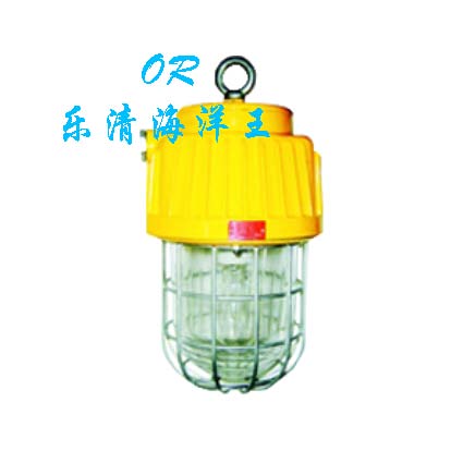 供应煤矿灯DGS70-127B（B）-海洋王矿用隔爆型泛光灯